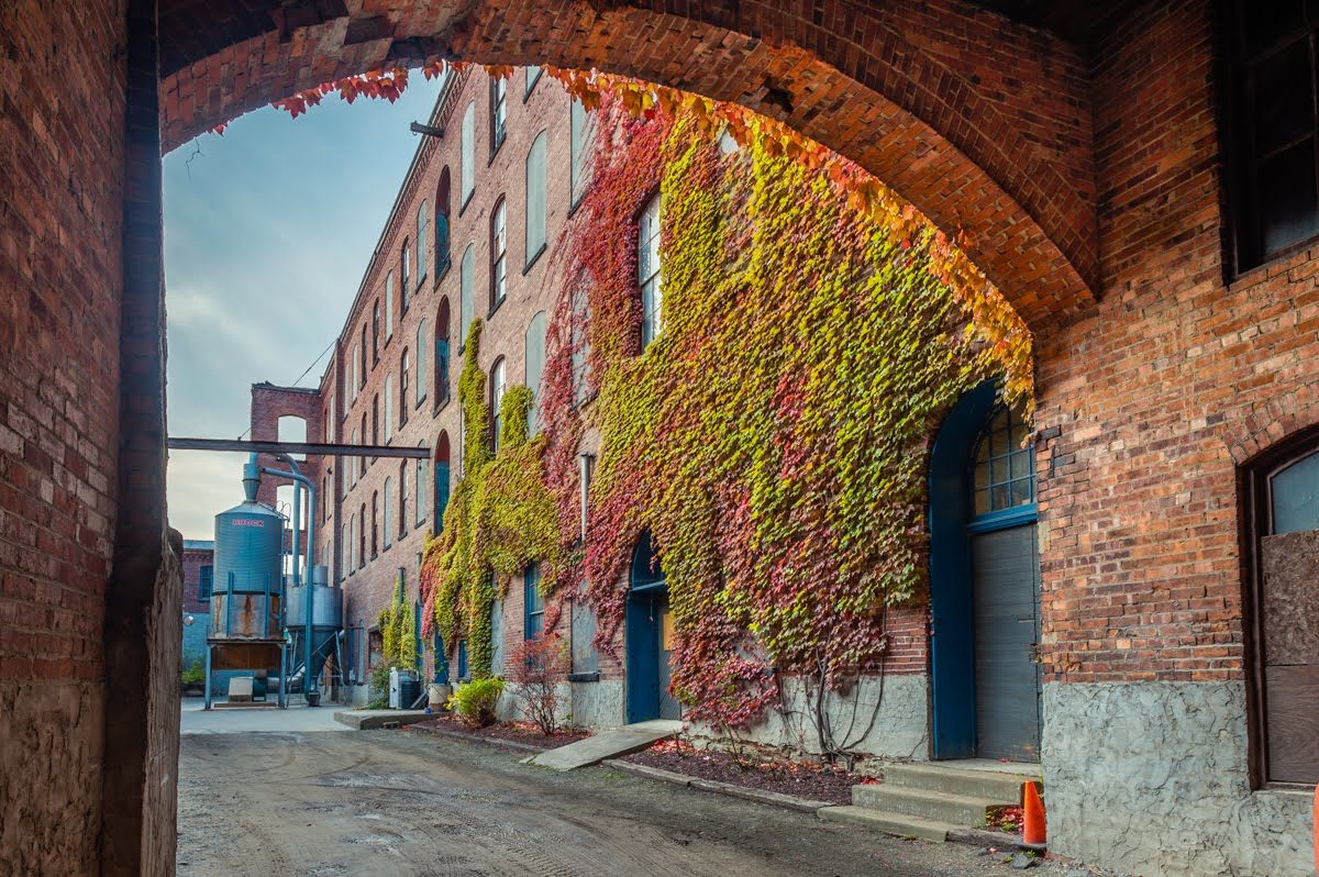 Ivy-covered archway passage between buildings