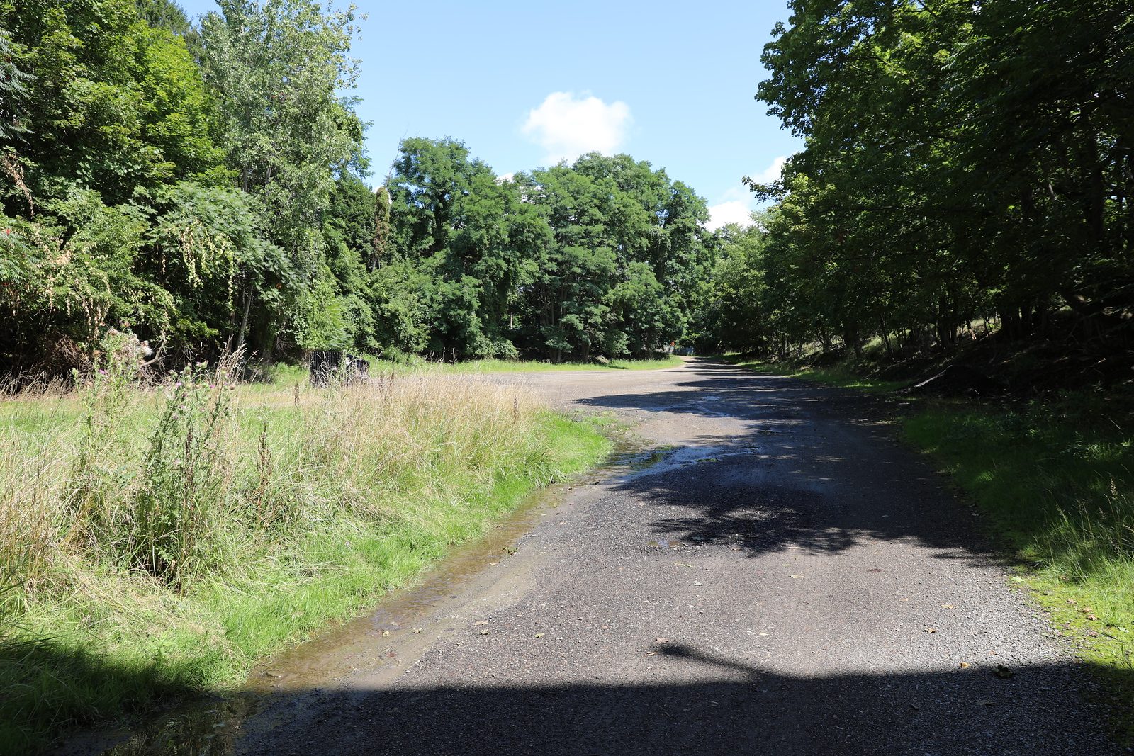 Gravel road leading toward the tree line at the property edge